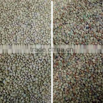 Bean Color Sorting Machine photo-3