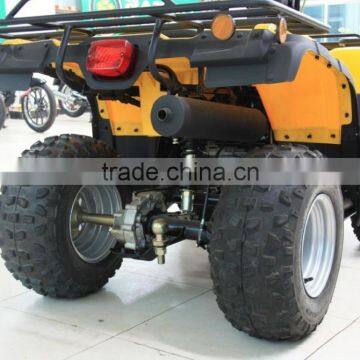 Chinese Best Racing ATV for Sale photo-4
