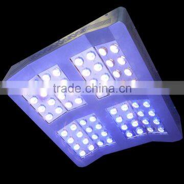 2016 MarsHydro Cree 256 Indoor Grow Light Programme LED Indoor Growing Light 1280W Greenhouse LED Grow Light COB Wholesale photo-5