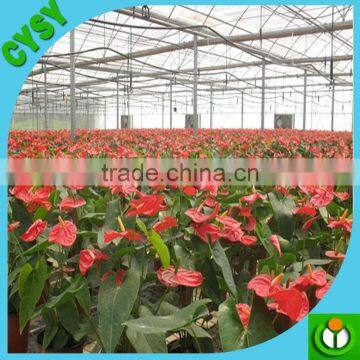 PE type multifunction vegetable fruit shade net for house farming