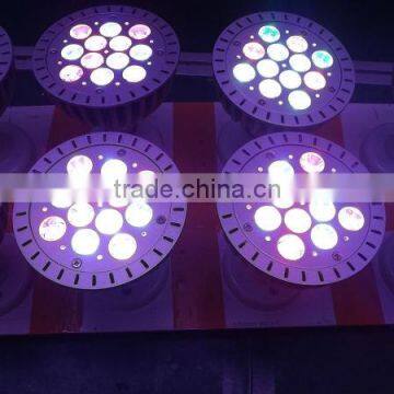 12W Par38 Led Chicken Farming Lamp Red Blue Full Spectrum Led Grow Light photo-3