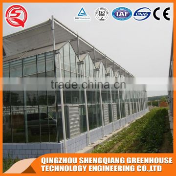 Rat traps modern glass greenhouse with shading system made in China