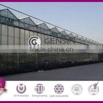 UV Coated Twinwall Hollow Polycarbonate Sheet Greenhouse