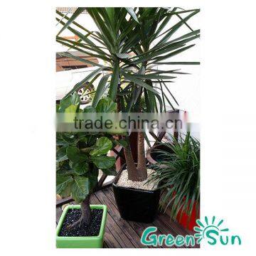 Square Plastic Flower Pots photo-3