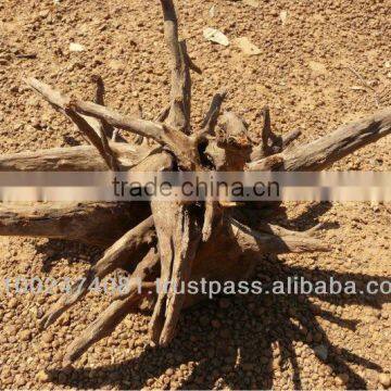 Unique tree roots for aquarium decoration