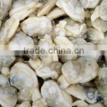 2016 BEST CHOICE CLAM SUPPLIER SHORT NECKED CLAM photo-2