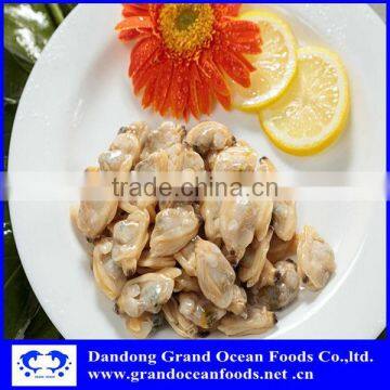Frozen Cooked Baby Clam Meat photo-2
