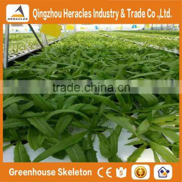 Heracles 2016 Hot Sale Flower Pot Vertical Garden Green Wall With Hydroponics System photo-3