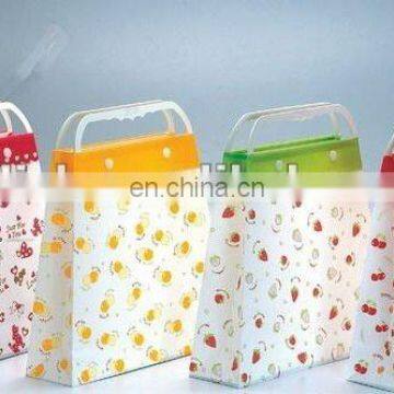 Twistd handle fashion design printed plastic gift bag