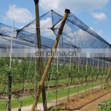 Agricultural HDPE Orchard Anti Hail System Anti Hail Net