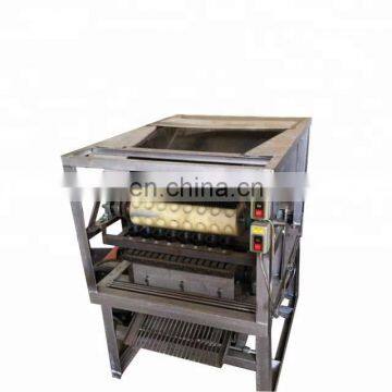 professional hawai fruit macadamia shell cutting machine