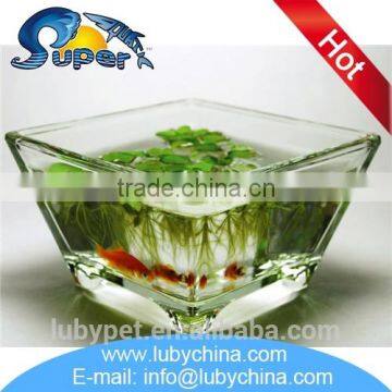 High quality small glass aquarium for wholesale