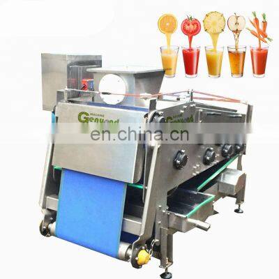 Industrial Cold Press Belt Type Apple Juice Extraction Machine Juicer Machine photo-4