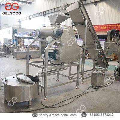 High-Quality Mango Pulp Production Machine/Mango Puree Processing Line photo-3