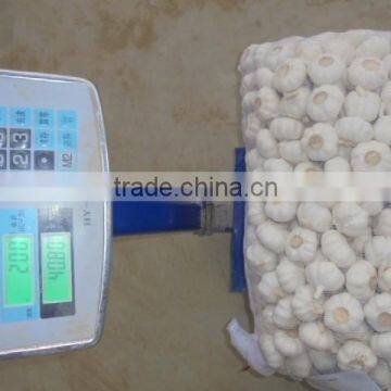 Chinese Pure White Garlic New Crop 2016 Fresh Best Qaulity photo-5
