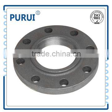 Companion Stainless Steel Plate Flange