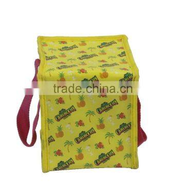 Colorful Good Quality Insulated Bag Portable Cooler Bag Ice Bag photo-3
