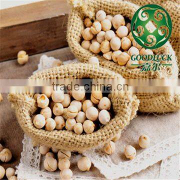 China chickpeas of good quality (2013 crop)                        
                                                Quality Choice