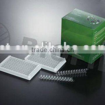 48 well elisa plate