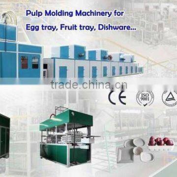 Full automatic paper pulp moulding machine/Egg tray production equipment