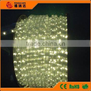 Christmas Lights of Steady LED Rope Lights( 2wires) for Holiday photo-4
