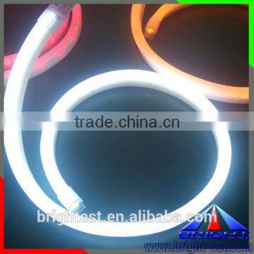 best led neon flex price 220v 110v