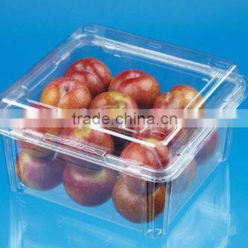 Good quality clear PET plastic plum package box