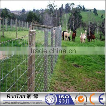 Factory hot dip galvanized cattle fencing asia(ISO9001,Since 1989)