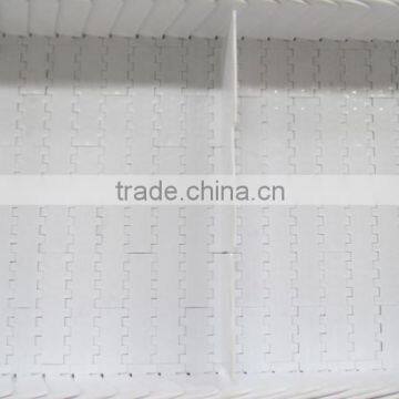 Grain Belt Conveyor photo-4