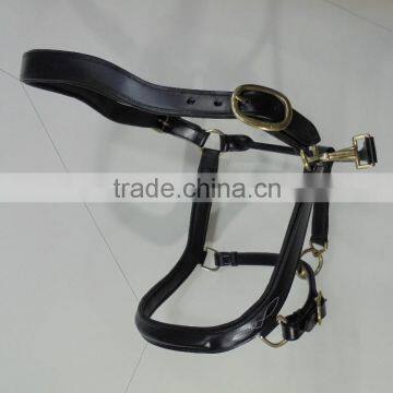 D.D. Leather halter.