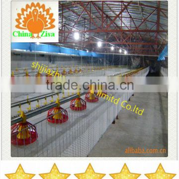 Popular automatic chicken feeder line