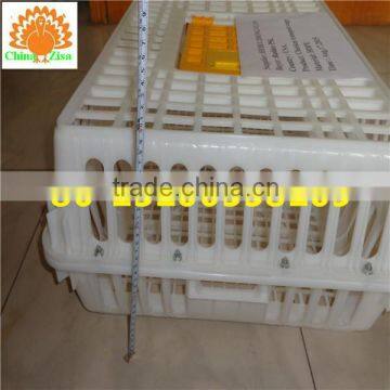 plastic transport box for poultry chicken