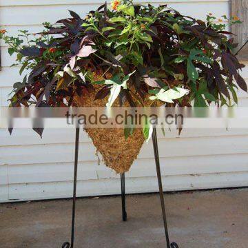 Sphagnum Moss cone basket With Stand