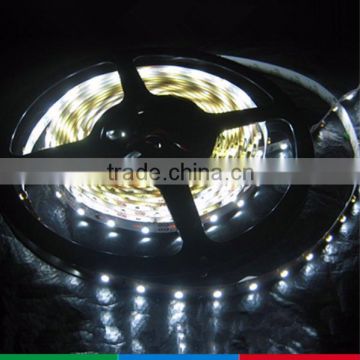 Manufactory 12v Smd 3528 Flexible Hose Led Light 60 Leds/m