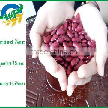 Top Organic Chinese Dark Red Kidney Beans photo-3