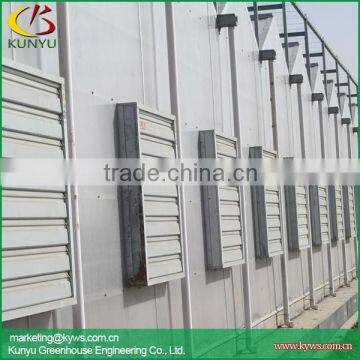 Venlo Polycarbonate Greenhouse Polycarbonate Sheet for Greenhouse Commercial Greenhouse photo-4