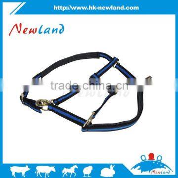 Horse standard padded halters