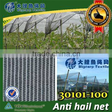 Agriculture HDPE anti-hail netting , 100GSM / 30101-100