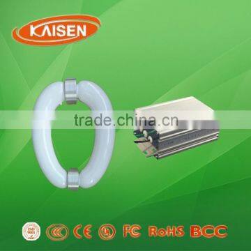 300W new products for 2015 magnetic induction lamp oval tube with ballast