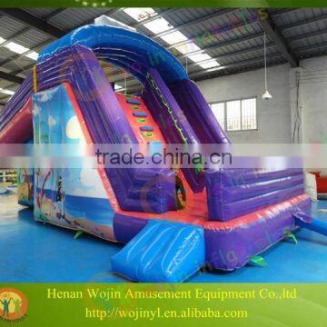 2016 Best Inflatable Pool Slide for Sale photo-3