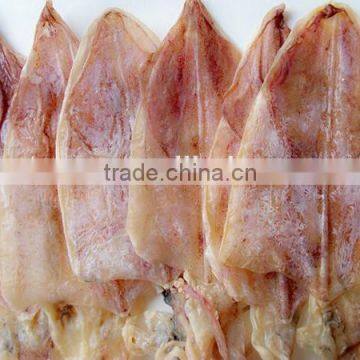 dried seafood High quality dried squid for sale