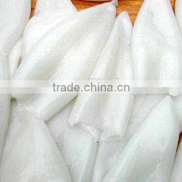 frozen fresh squid tube U3 U5 U8 U10 U15