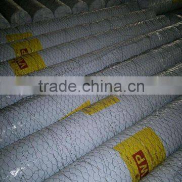 China Kangtai supply hexagonal decorative chicken wire mesh