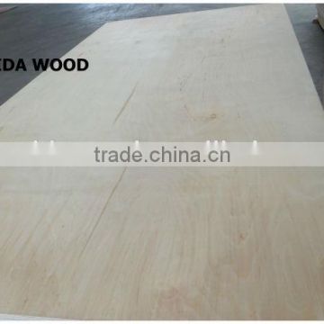 Linyi phenolic birch plywood