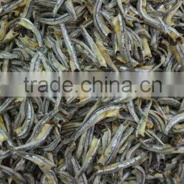 EXPORT DRIED ANCHOVY FISH HEADLESS (Email: Katherine.vilaconic@gmail.com photo-2