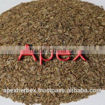 Dill Seeds TBC photo-2