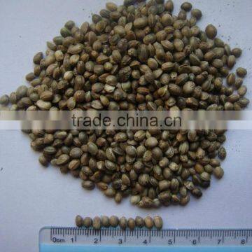 Private Label Organic Hulled Hemp Seed,Hemp Seeds,Shelled Hemp Seeds photo-4