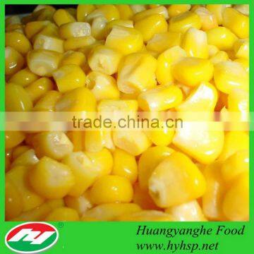 2015 New Yellow Sweet Corn Kernels Fresh Corn Kernels