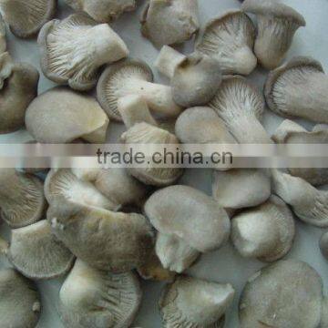 BRC,KOSHER,HALAL IQF pleurotus mushroom