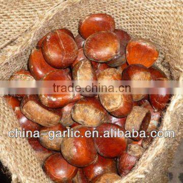 2013 Low Price Chestnut for sale